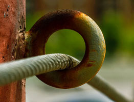 正版去哪买的手机号验证码轰炸平台